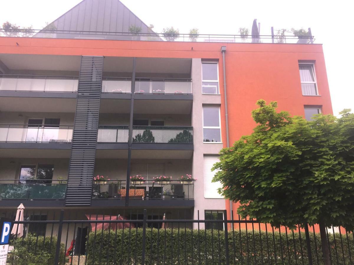 Le Topaze Apartment Colmar Bagian luar foto