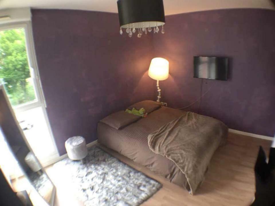 Le Topaze Apartment Colmar Bagian luar foto