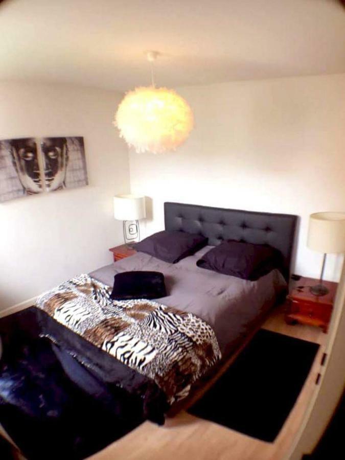 Le Topaze Apartment Colmar Bagian luar foto